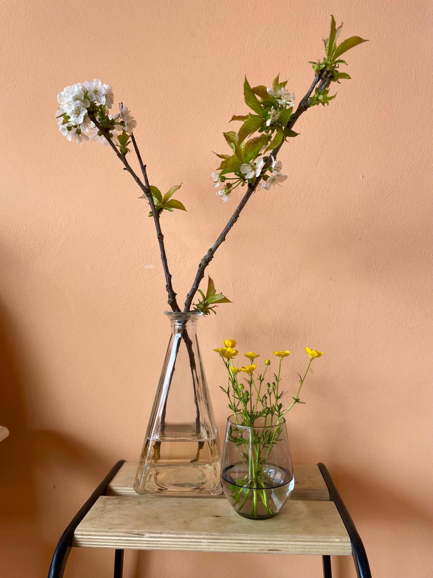 Studio Verde Miagliano Buitenkant foto